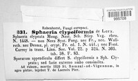 Sphaeria clypeiformis image